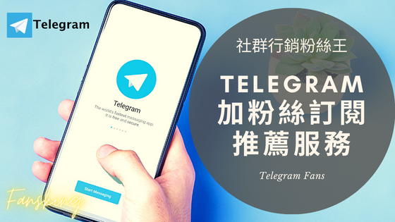 2022年Telegram買群組人數推薦，TG訂閱大量增加電報粉絲必看優惠整理